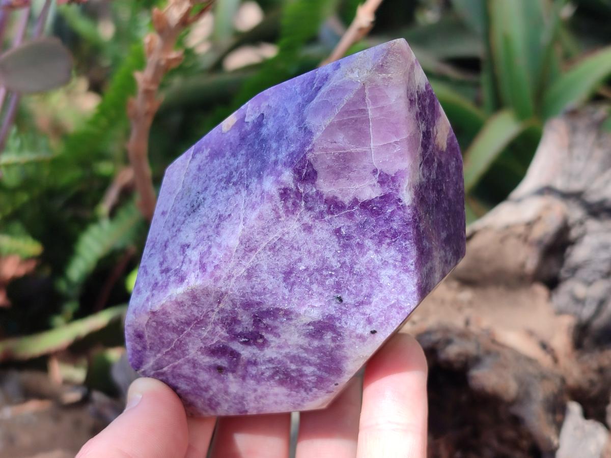 Polished Lepidolite Display Crystals x 2 From Zimbabwe