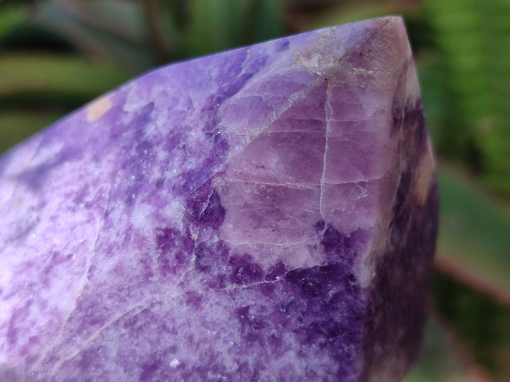 Polished Lepidolite Display Crystals x 2 From Zimbabwe