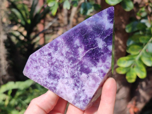 Polished Lepidolite Display Crystals x 2 From Zimbabwe