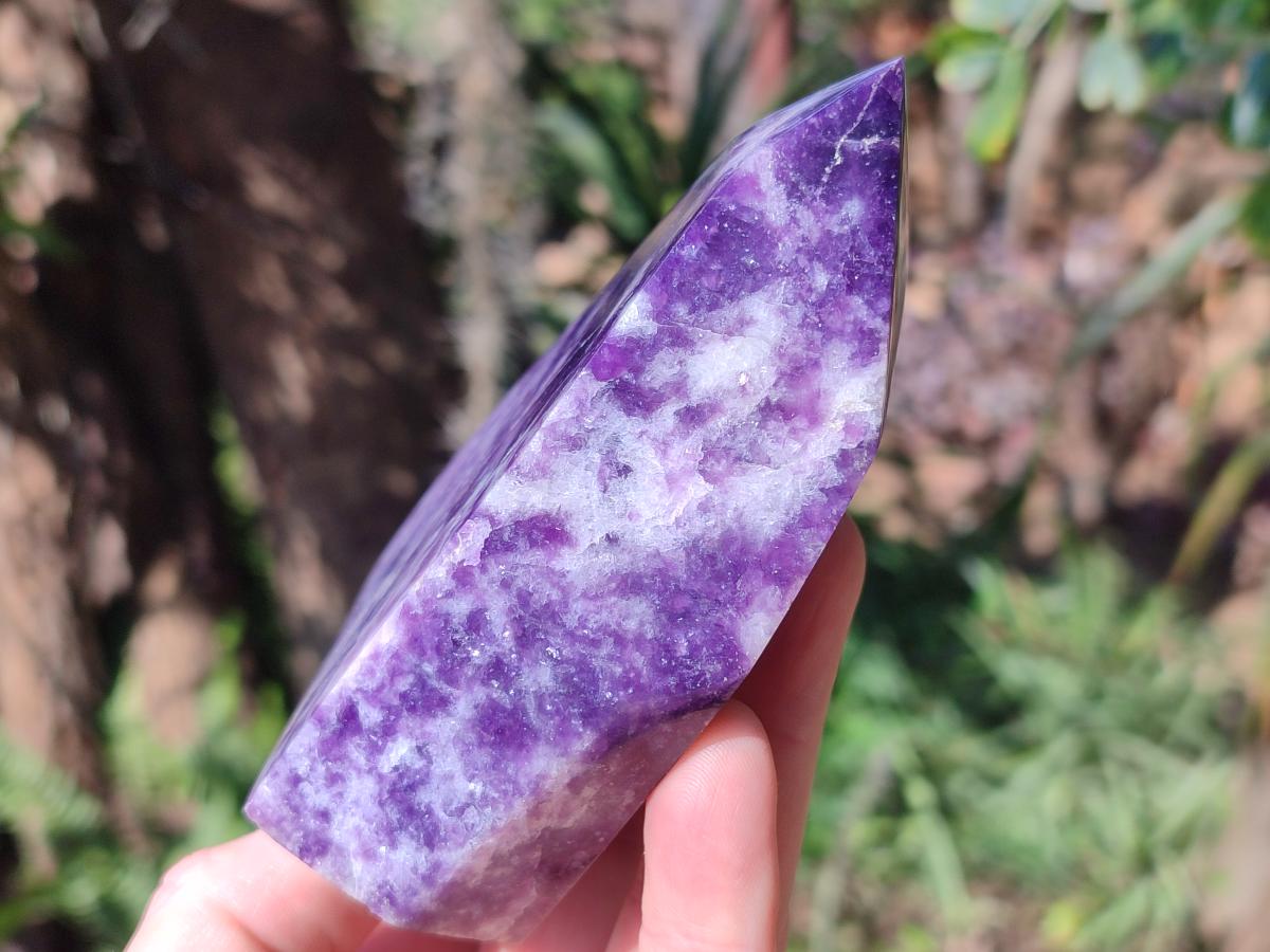 Polished Lepidolite Display Crystals x 2 From Zimbabwe