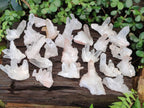 Natural Malagasy Quartz Clusters x 24 From Madagascar