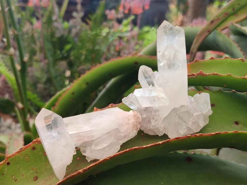Natural Malagasy Quartz Clusters x 24 From Madagascar