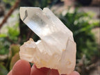 Natural Malagasy Quartz Clusters x 24 From Madagascar