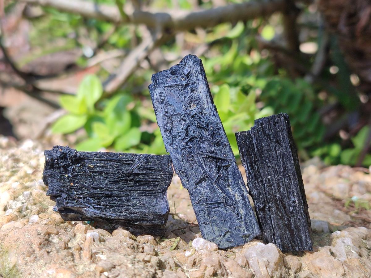 Natural Schorl Black Tourmaline Crystal Specimens x 88 From Erongo, Namibia