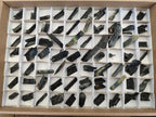 Natural Schorl Black Tourmaline Crystal Specimens x 88 From Erongo, Namibia