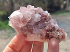 Natural Spirit Amethyst Clusters x 12 From Boekenhouthoek, South Africa