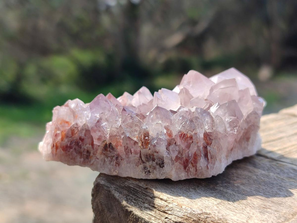 Natural Spirit Amethyst Clusters x 12 From Boekenhouthoek, South Africa
