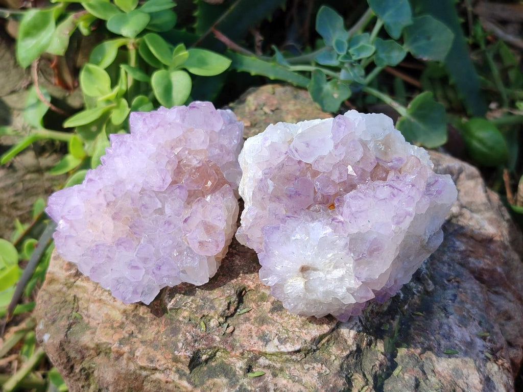 Natural Spirit Amethyst Clusters x 12 From Boekenhouthoek, South Africa