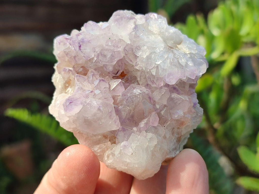 Natural Spirit Amethyst Clusters x 12 From Boekenhouthoek, South Africa