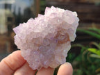Natural Spirit Amethyst Clusters x 12 From Boekenhouthoek, South Africa