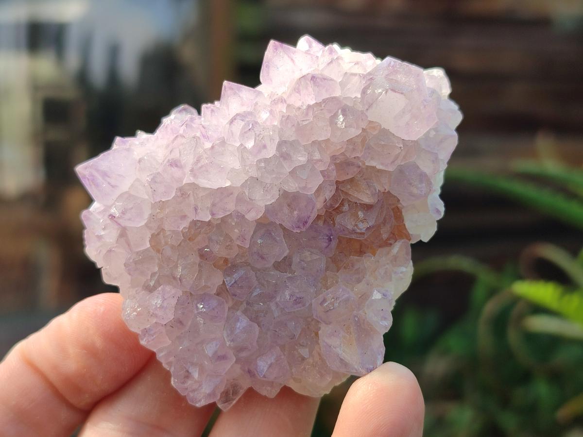 Natural Spirit Amethyst Clusters x 12 From Boekenhouthoek, South Africa
