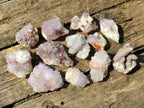 Natural Spirit Amethyst Clusters x 12 From Boekenhouthoek, South Africa