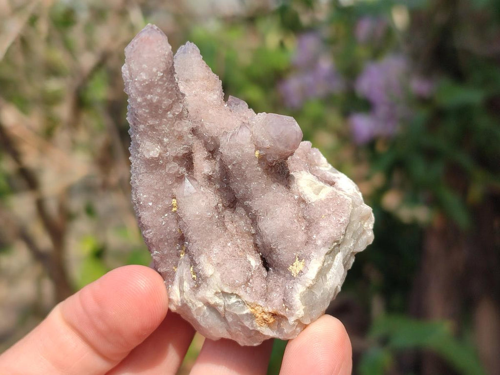 Natural Spirit Amethyst Clusters x 12 From Boekenhouthoek, South Africa