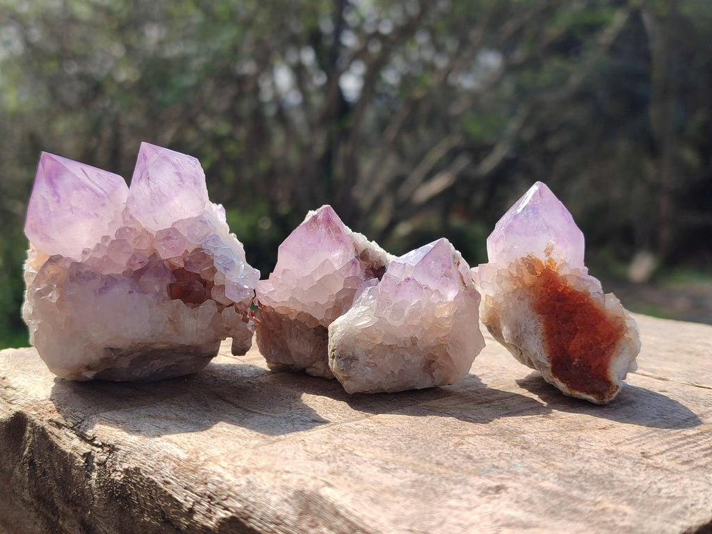 Natural Spirit Amethyst Clusters x 12 From Boekenhouthoek, South Africa