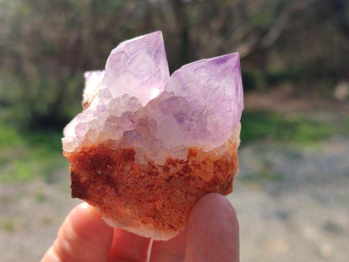 Natural Spirit Amethyst Clusters x 12 From Boekenhouthoek, South Africa