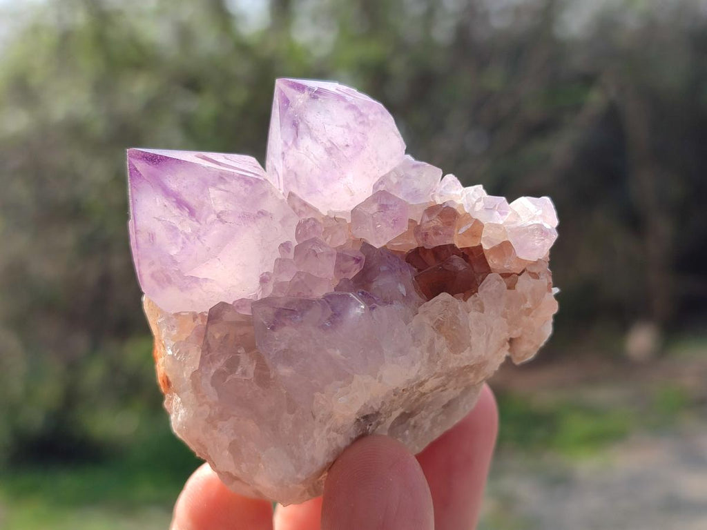 Natural Spirit Amethyst Clusters x 12 From Boekenhouthoek, South Africa