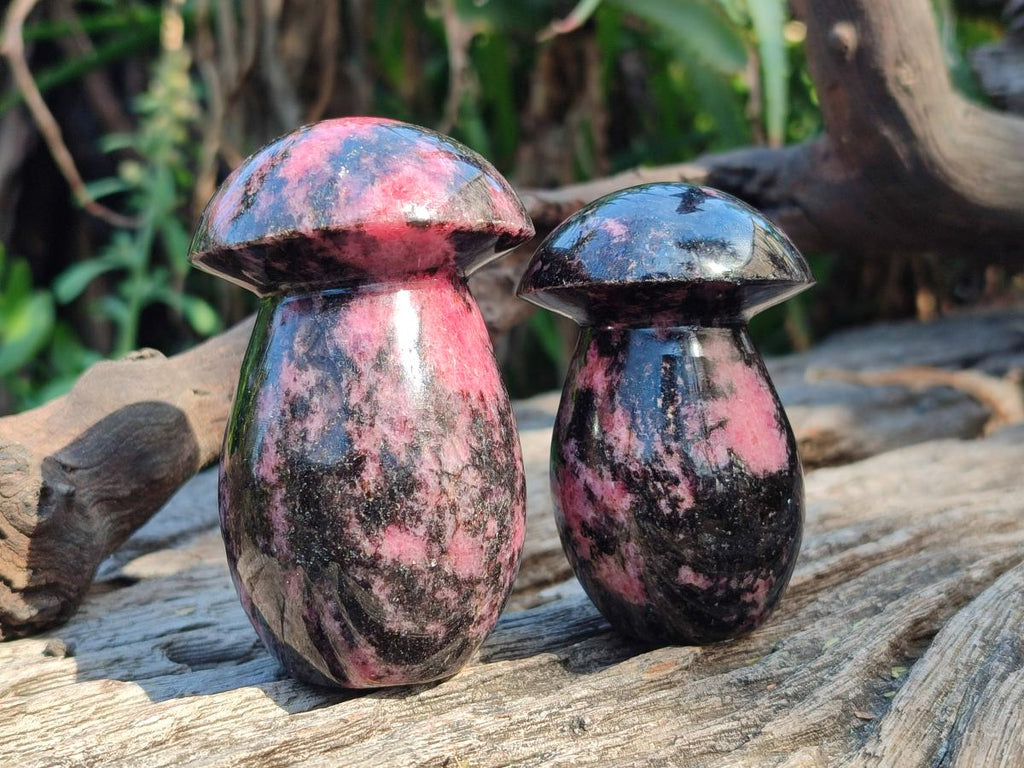Polished Rhodonite Gemstone Mushrooms x 6 From Ambindavato, Madagascar