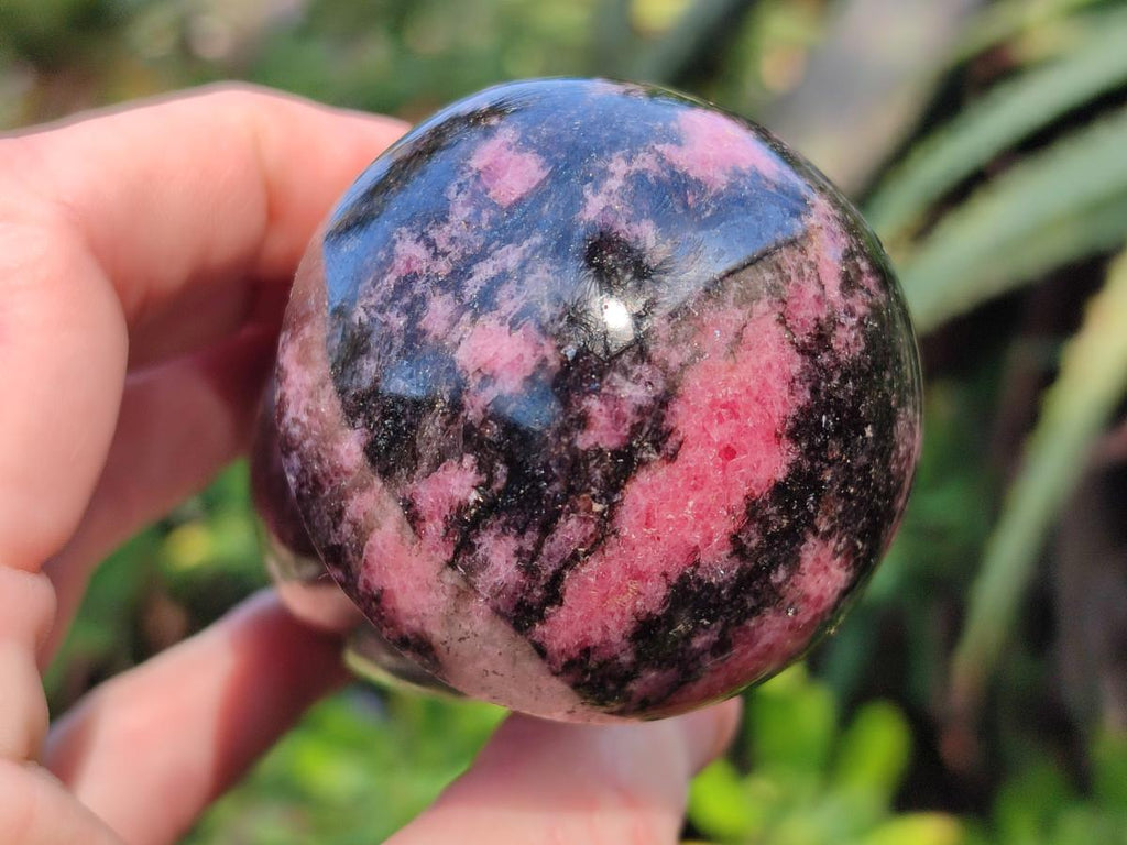Polished Rhodonite Gemstone Mushrooms x 6 From Ambindavato, Madagascar