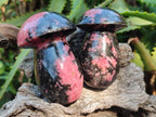 Polished Rhodonite Gemstone Mushrooms x 6 From Ambindavato, Madagascar