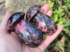 Polished Rhodonite Gemstone Mushrooms x 6 From Ambindavato, Madagascar