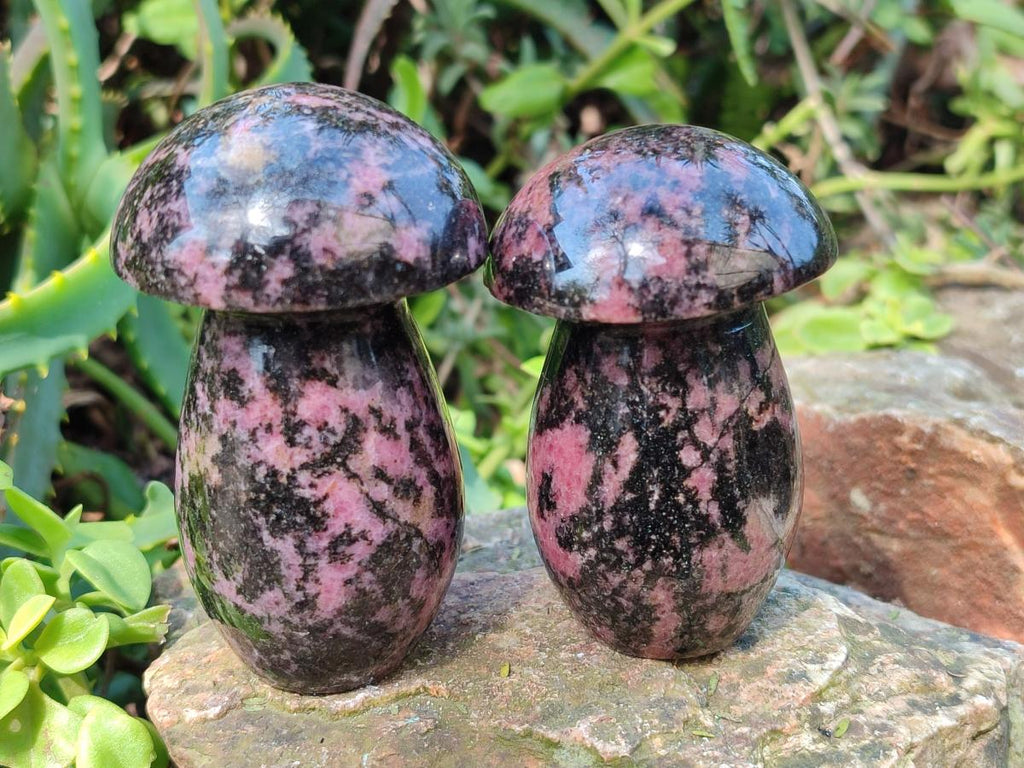 Polished Rhodonite Gemstone Mushrooms x 6 From Ambindavato, Madagascar