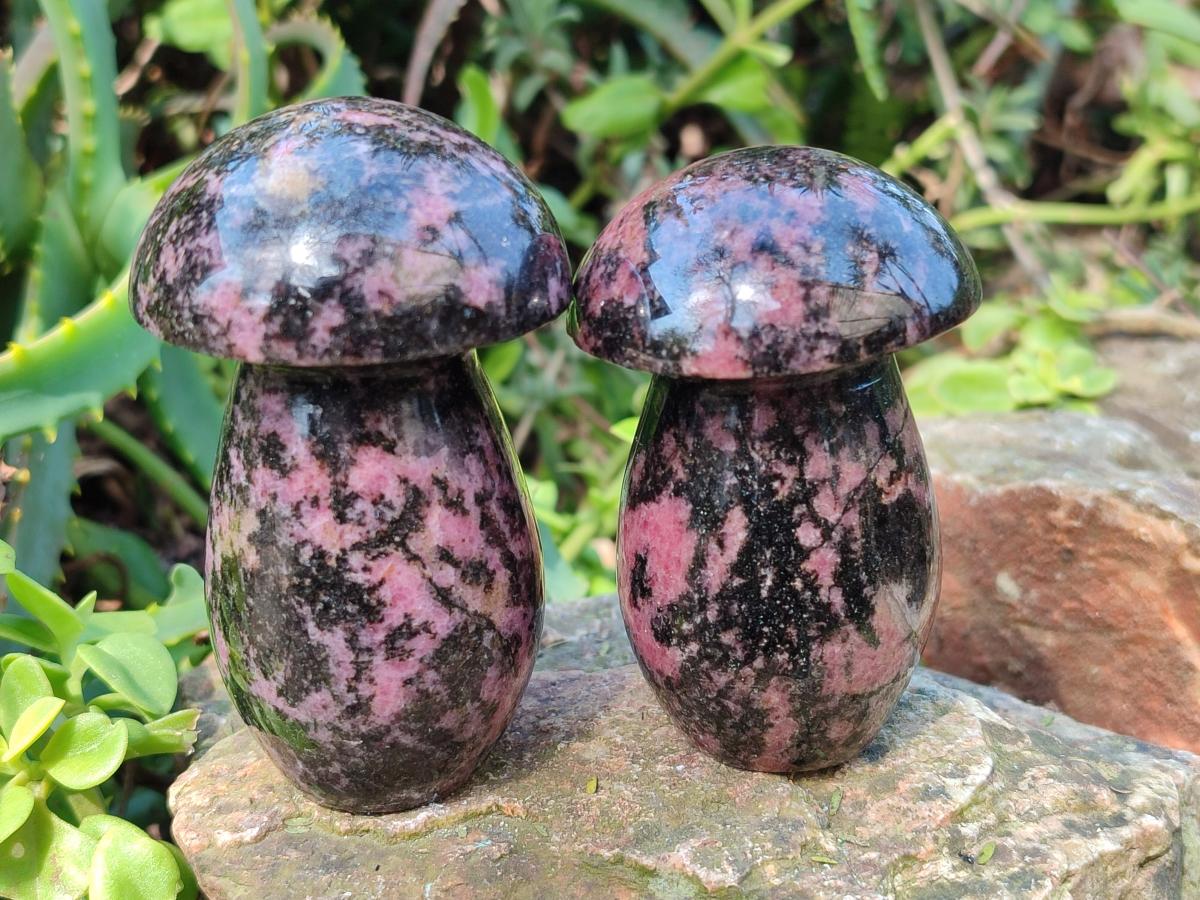 Polished Rhodonite Gemstone Mushrooms x 6 From Ambindavato, Madagascar