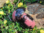 Polished Rhodonite Gemstone Mushrooms x 6 From Ambindavato, Madagascar