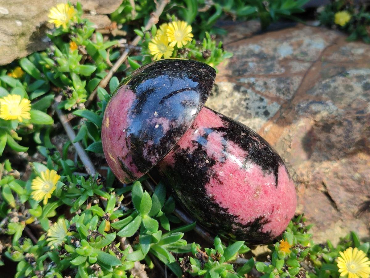 Polished Rhodonite Gemstone Mushrooms x 6 From Ambindavato, Madagascar