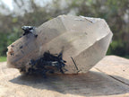 Natural Mix of Mineral Specimens x 6 From Erongo, Namibia