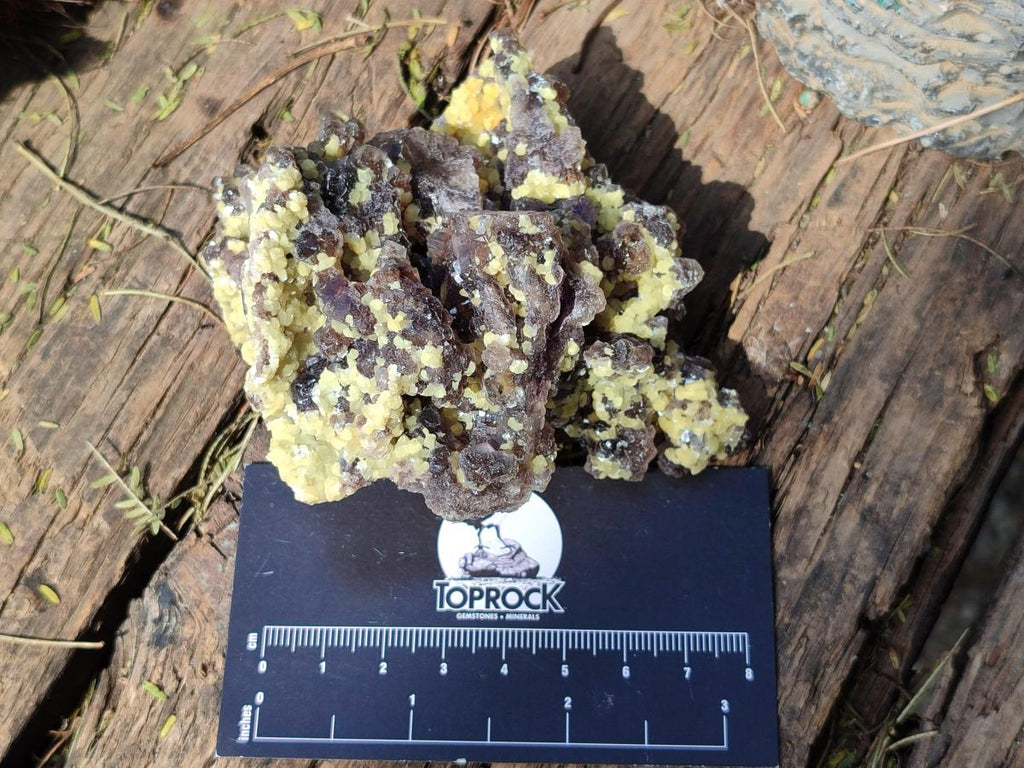 Natural Mix of Mineral Specimens x 6 From Erongo, Namibia