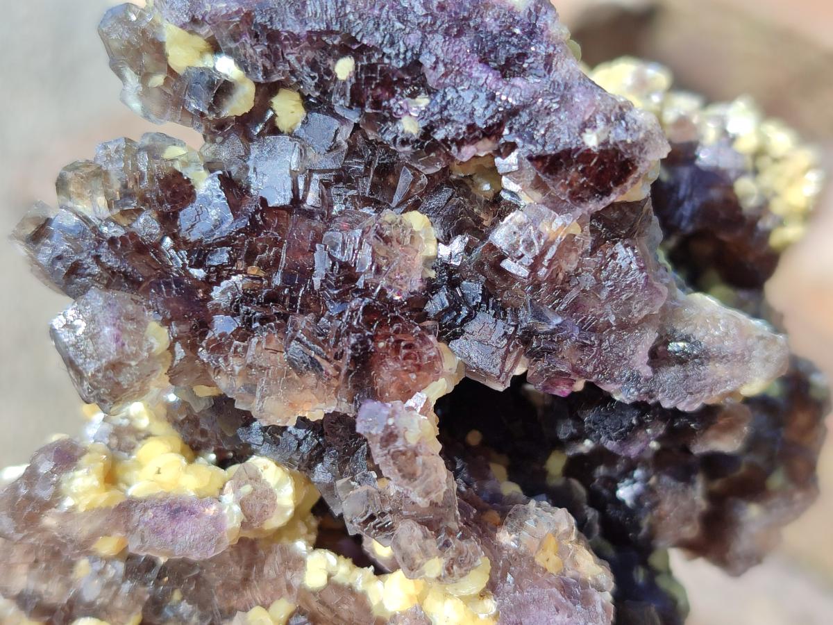 Natural Mix of Mineral Specimens x 6 From Erongo, Namibia