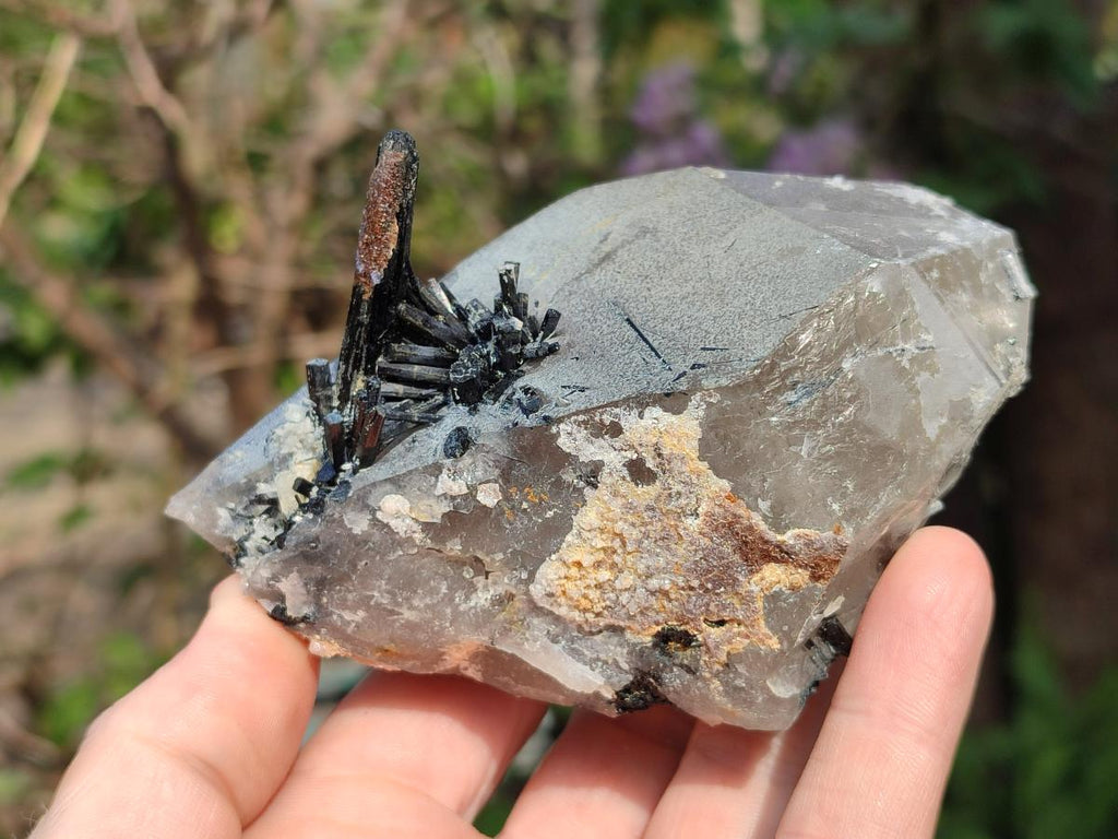 Natural Mix of Mineral Specimens x 6 From Erongo, Namibia