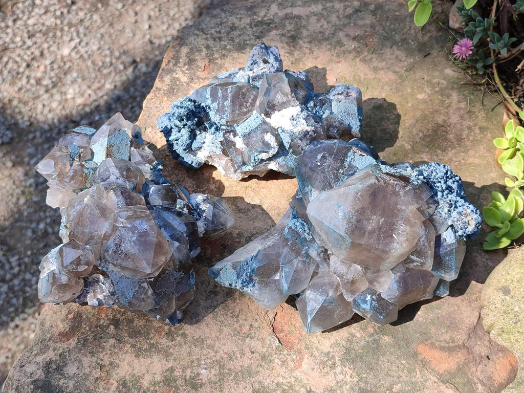 Natural Smokey Quartz Clusters with Foitite x 3 From Erongo, Namibia