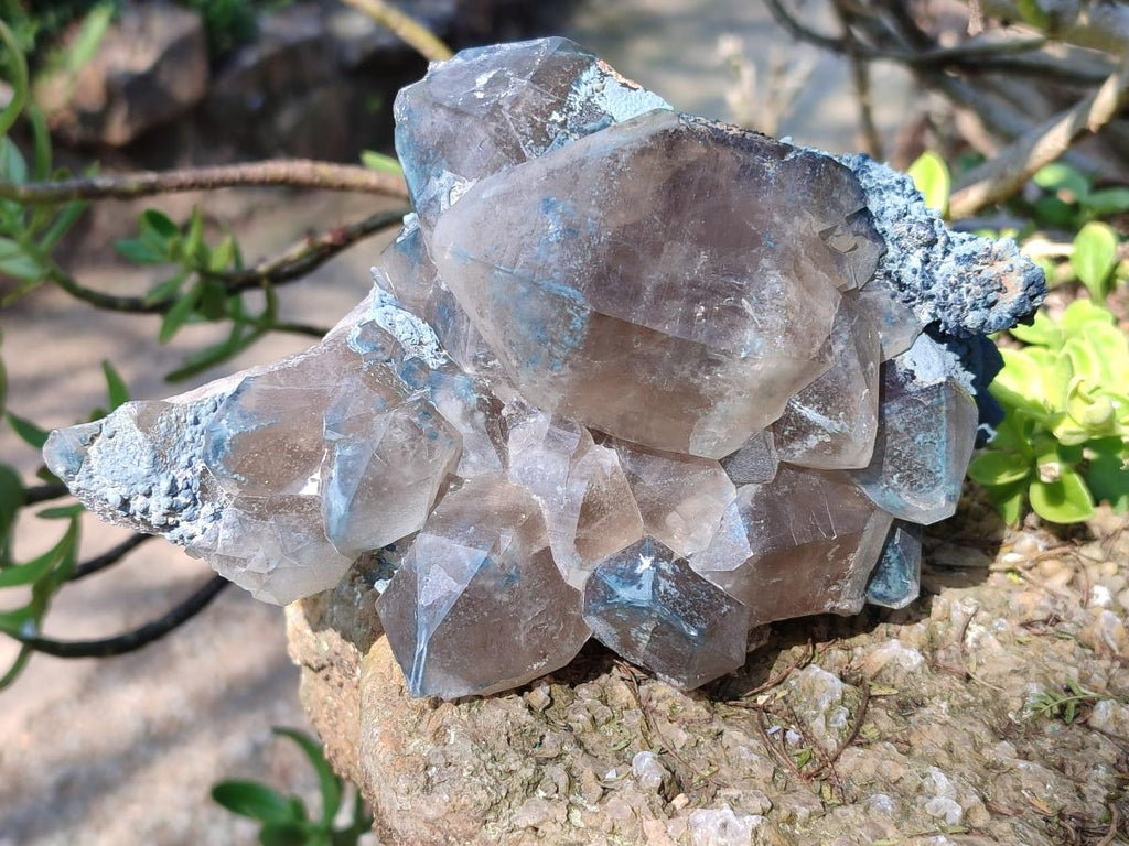 Natural Smokey Quartz Clusters with Foitite x 3 From Erongo, Namibia