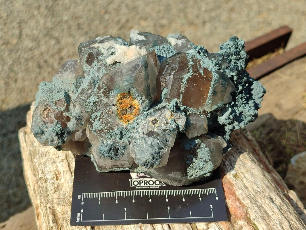 Natural Smokey Quartz Clusters with Foitite x 3 From Erongo, Namibia