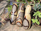Polished Septerye Massage Wands x 6 From Mahajanga, Madagascar