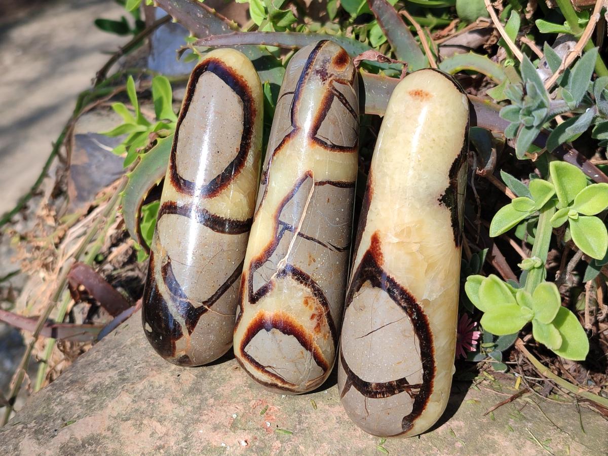 Polished Septerye Massage Wands x 6 From Mahajanga, Madagascar