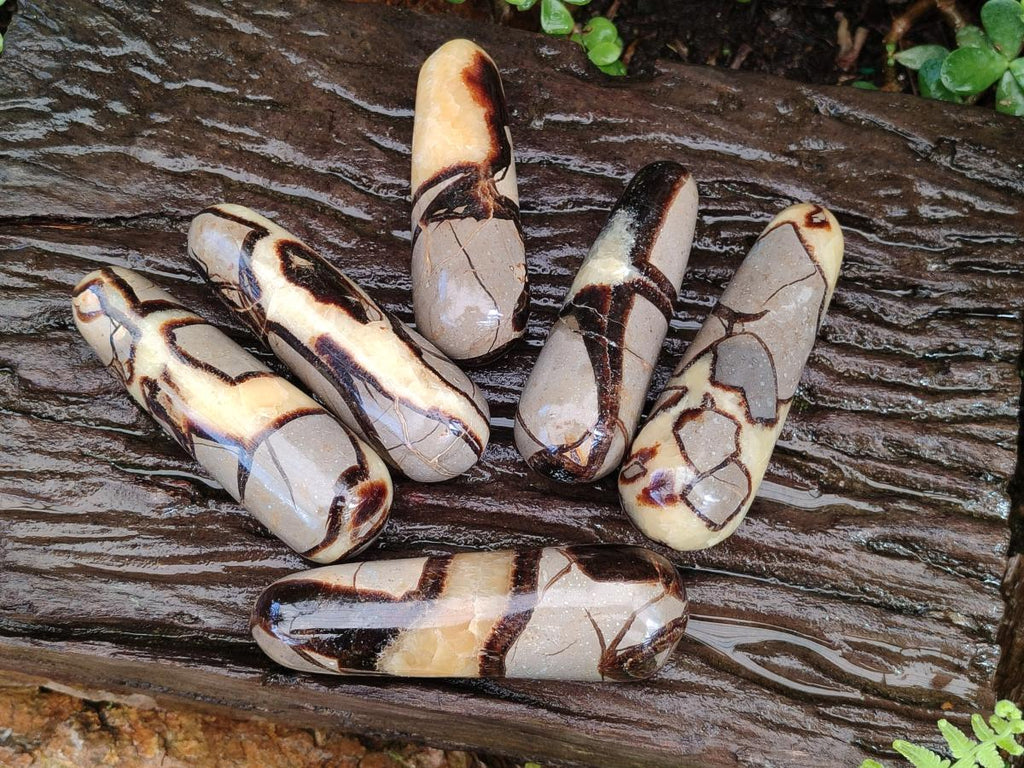 Polished Septerye Massage Wands x 6 From Mahajanga, Madagascar