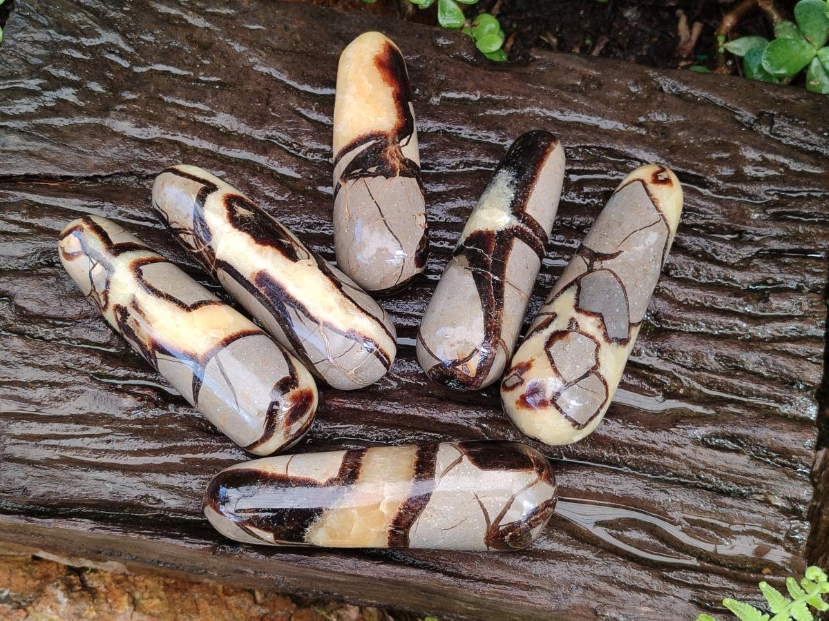 Polished Septerye Massage Wands x 6 From Mahajanga, Madagascar