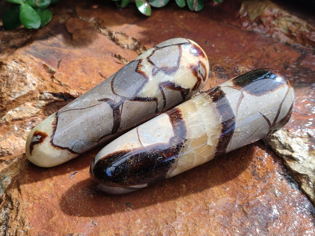 Polished Septerye Massage Wands x 6 From Mahajanga, Madagascar