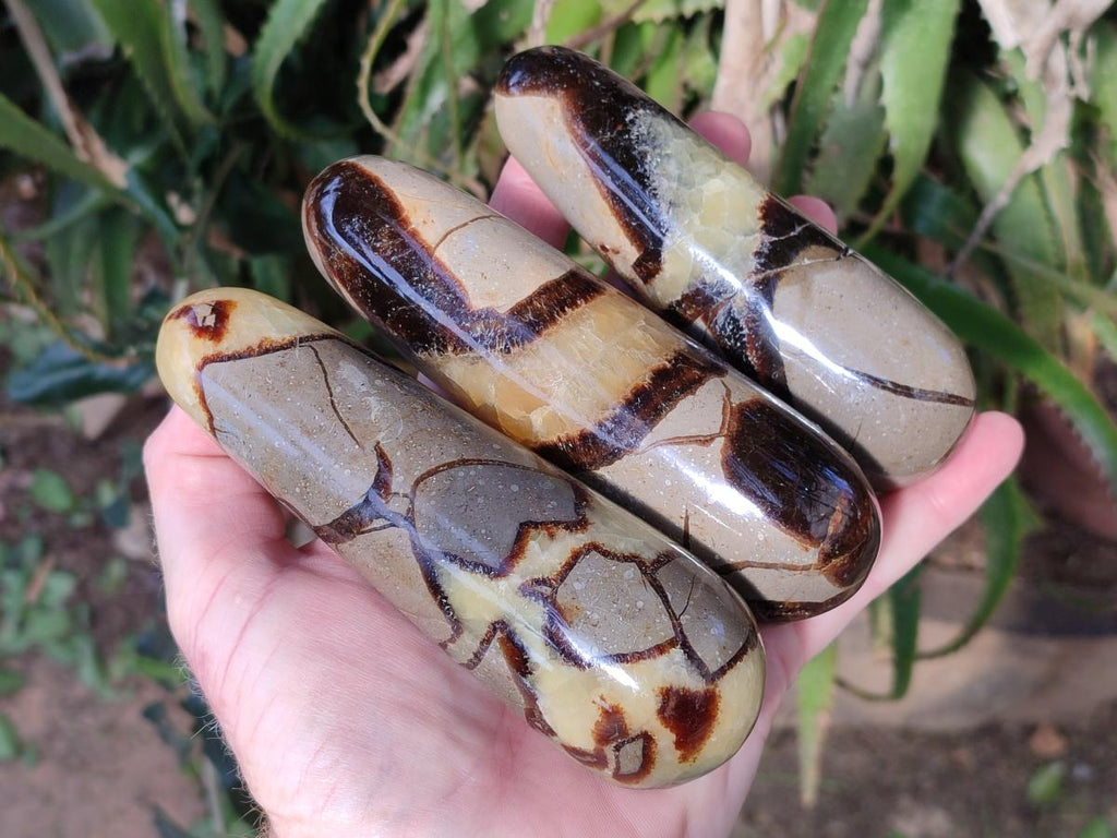 Polished Septerye Massage Wands x 6 From Mahajanga, Madagascar