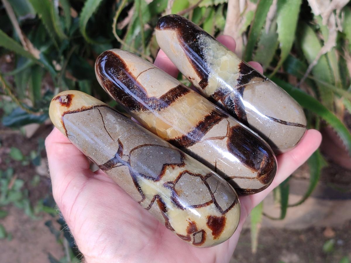 Polished Septerye Massage Wands x 6 From Mahajanga, Madagascar