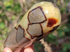 Polished Septerye Massage Wands x 6 From Mahajanga, Madagascar