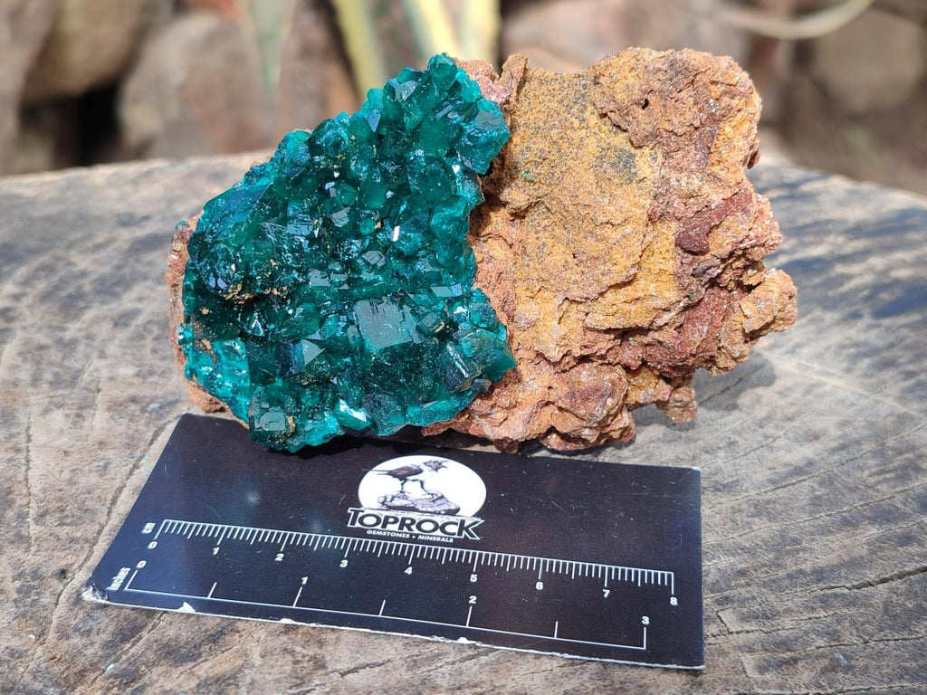 Natural Cabinet Size Dioptase on Dolomite Specimens x 3 From Mashamba East Mine, Congo