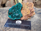 Natural Cabinet Size Dioptase on Dolomite Specimens x 3 From Mashamba East Mine, Congo