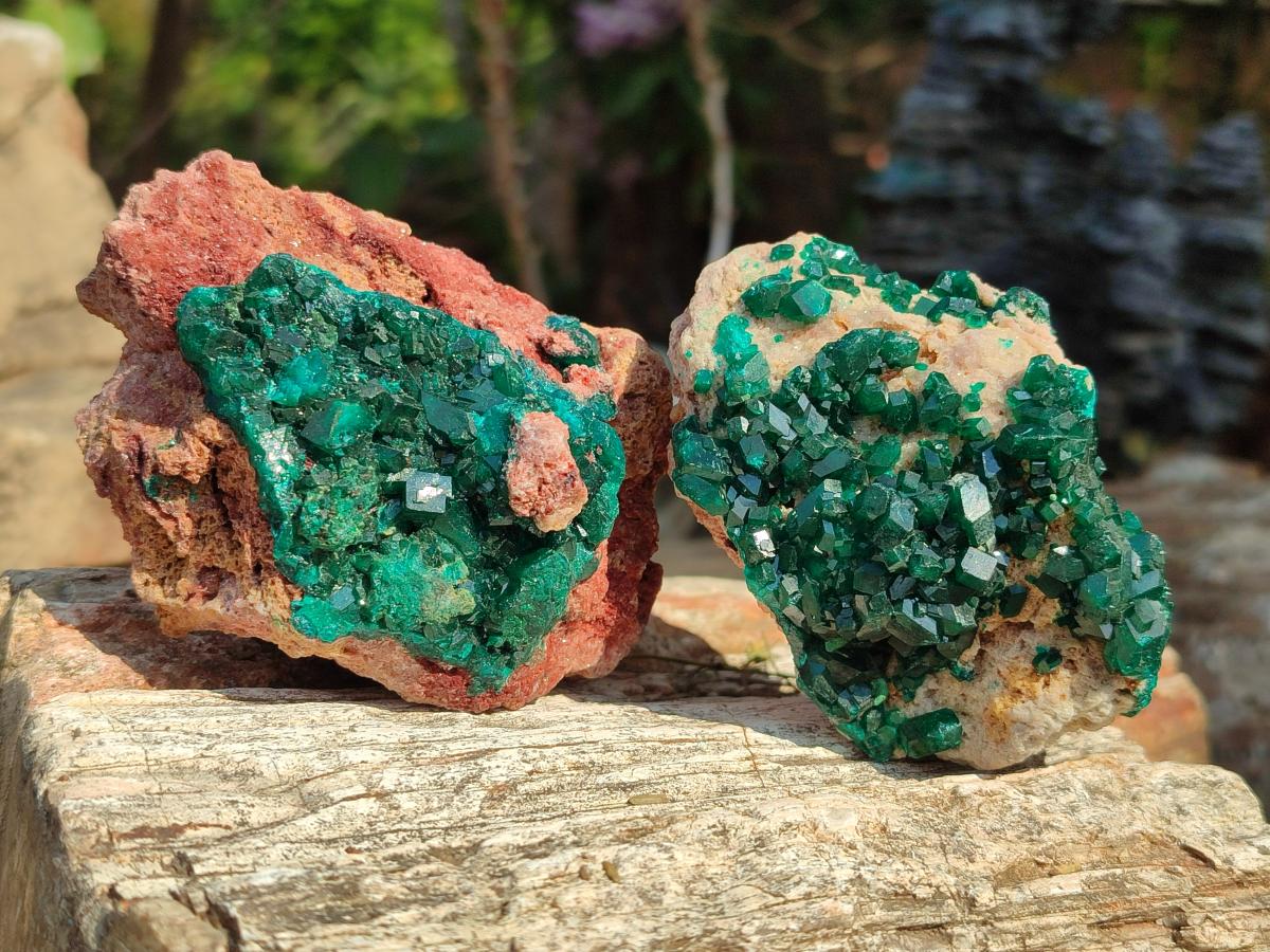 Natural Cabinet Size Dioptase on Dolomite Specimens x 3 From Mashamba East Mine, Congo