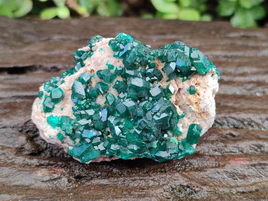 Natural Cabinet Size Dioptase on Dolomite Specimens x 3 From Mashamba East Mine, Congo