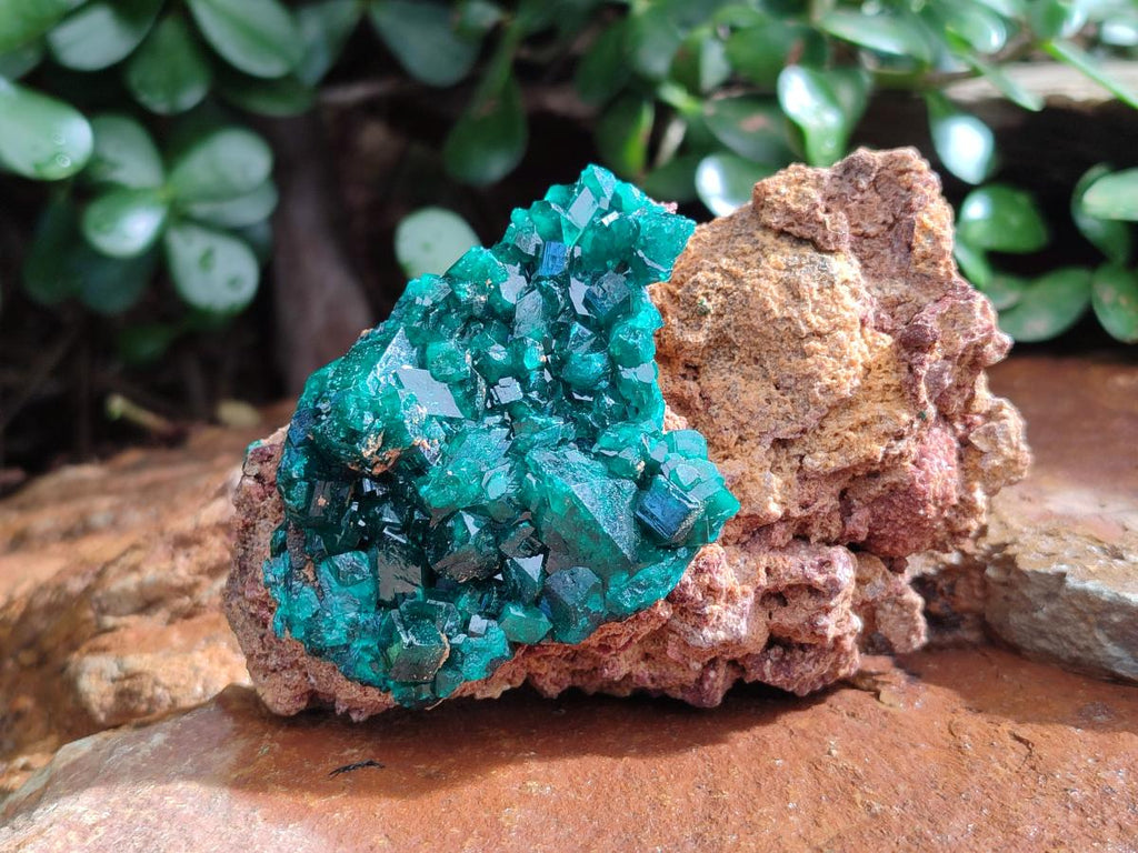 Natural Cabinet Size Dioptase on Dolomite Specimens x 3 From Mashamba East Mine, Congo