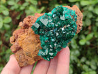 Natural Cabinet Size Dioptase on Dolomite Specimens x 3 From Mashamba East Mine, Congo