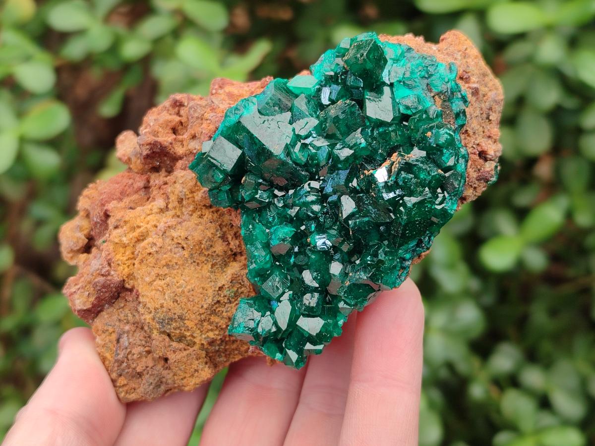 Natural Cabinet Size Dioptase on Dolomite Specimens x 3 From Mashamba East Mine, Congo